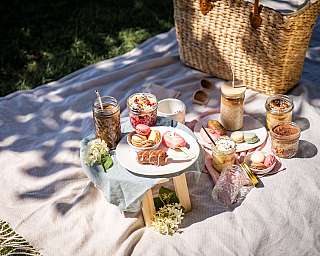 Gemütliches Picknick im Freien