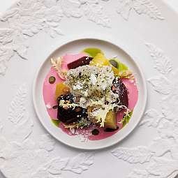 Ein kunstvoll angerichtetes Gericht mit buntem Gemüse und Kräutern.