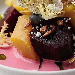 Ein kunstvoll angerichteter Teller mit buntem Gemüse und Sauce.