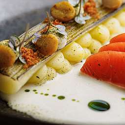 Ein kunstvoll angerichtetes Gericht mit Lachs, Gnocchi und Kräutern.