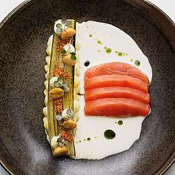 Ein kunstvoll angerichteter Teller mit Lachs und Beilagen.