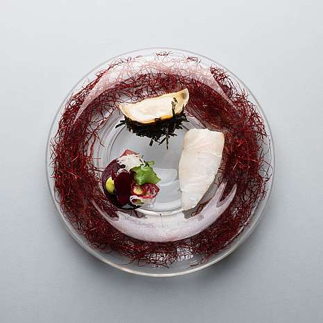 Elegantes Gericht mit Fisch, Algen und Gemüse auf klarem Teller.